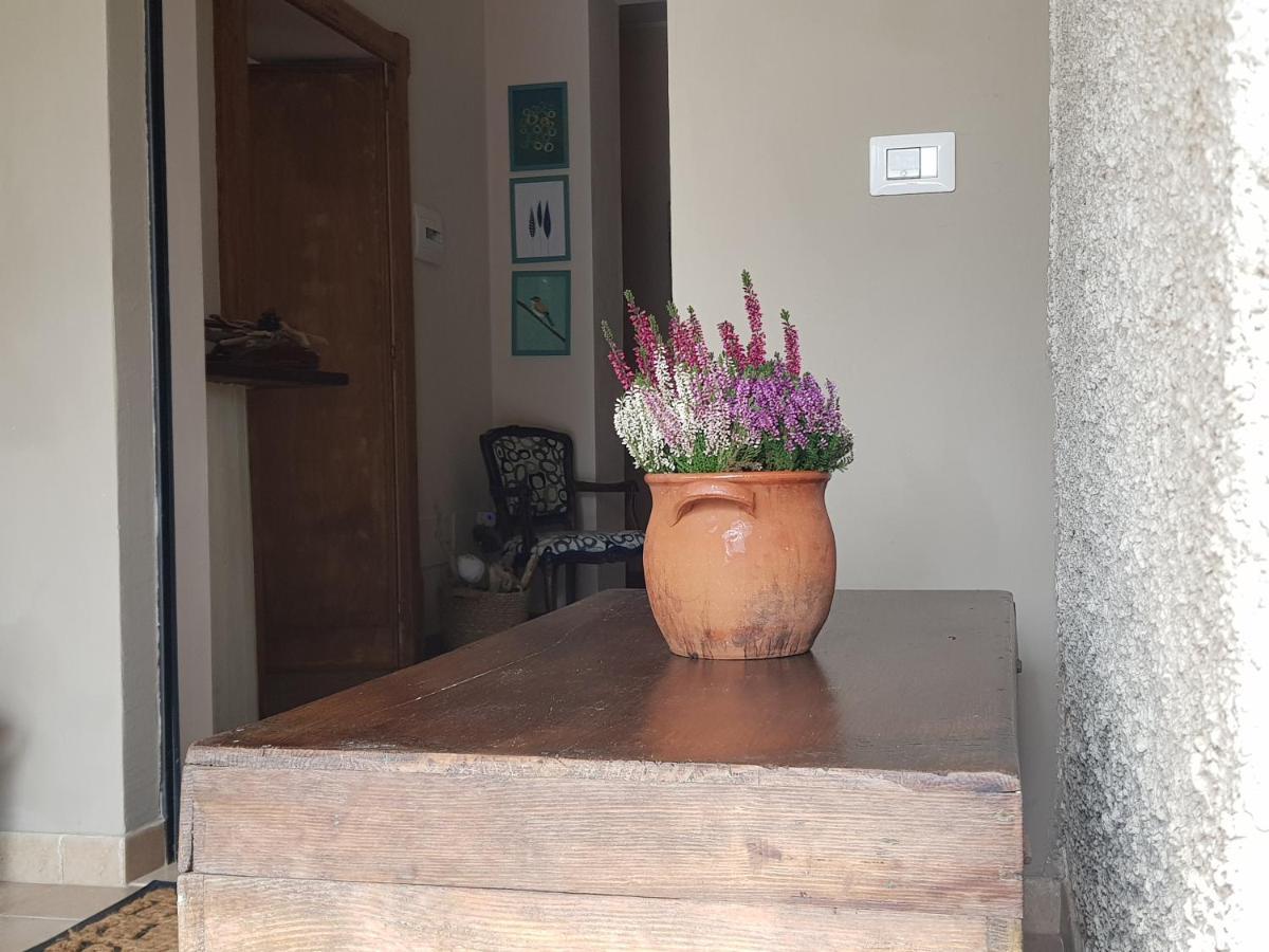 B&B Agreebreak Rende Zewnętrze zdjęcie